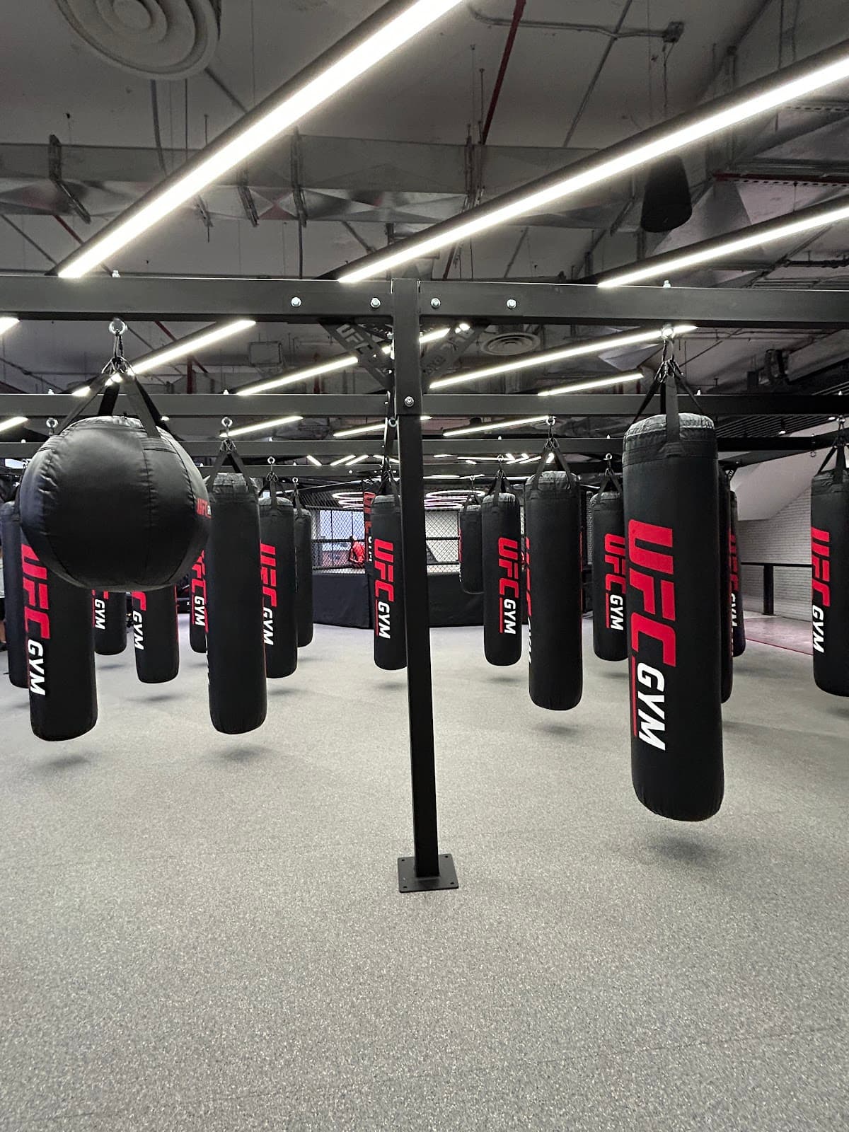 UFC Gym Tahlia | نادي يو إف سي التحلية — photo 2
