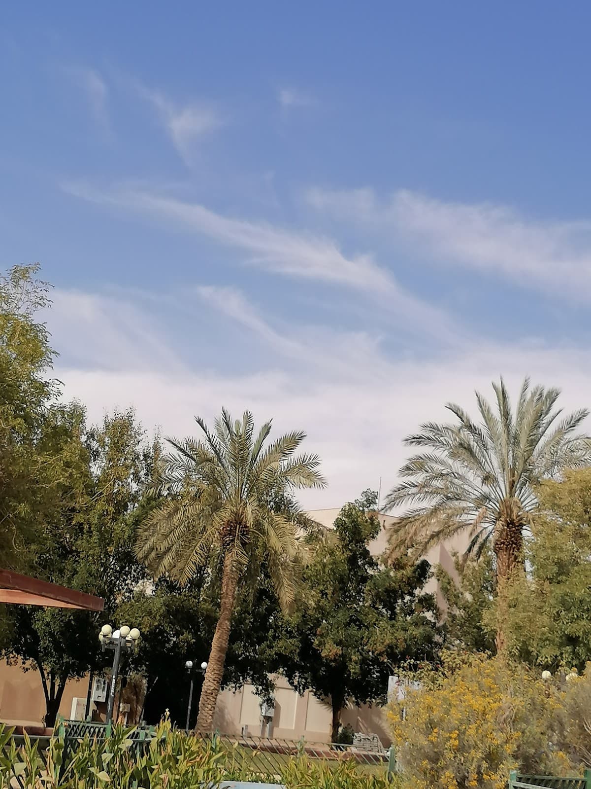 Al Rahmaniyah Park — photo 2