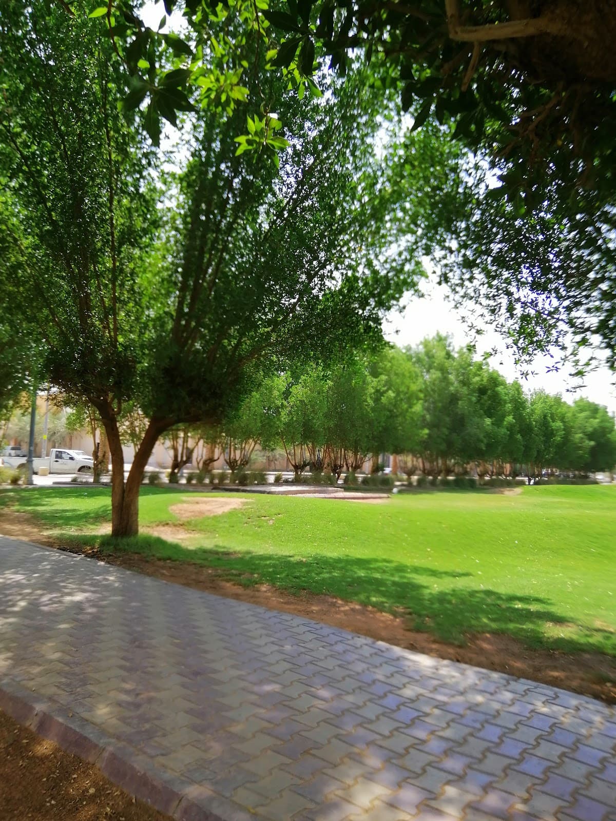 منتزه الروضة — صورة ٤