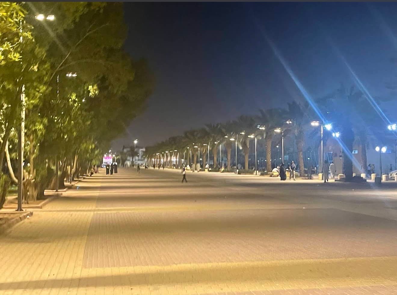منتزه الروضة — صورة ٢