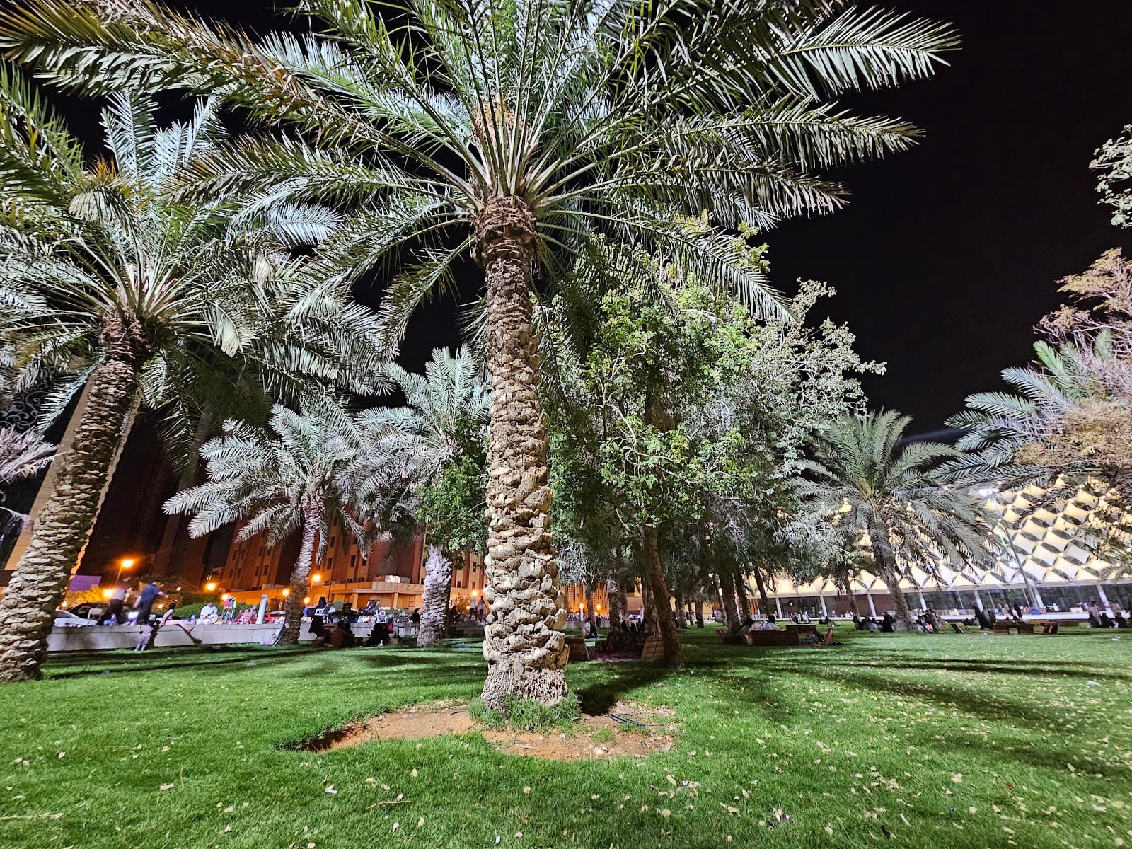 King Fahad Library Park — photo 4