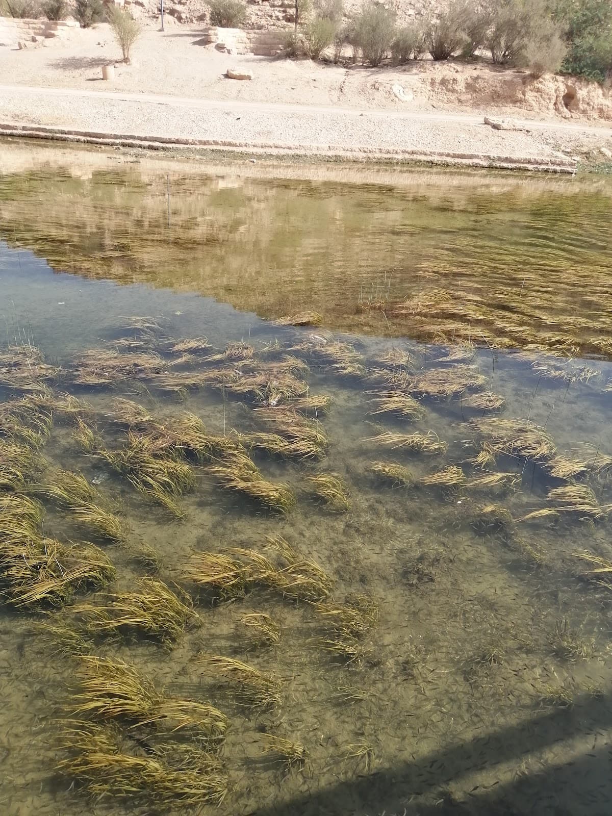 وادي حنيفة – الدرعية — صورة ٣