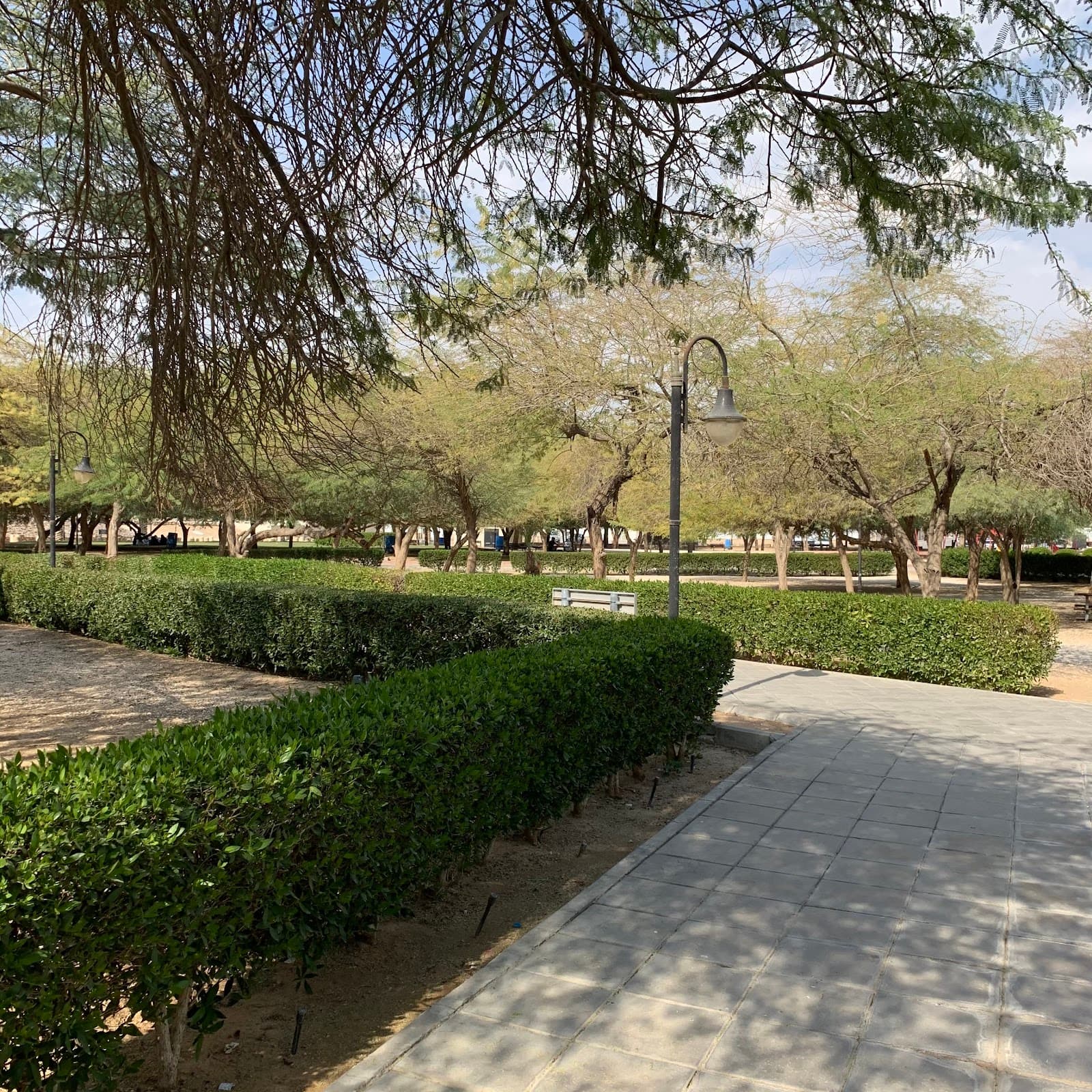 Muhammad Ibn Al Qassim Park — photo 2