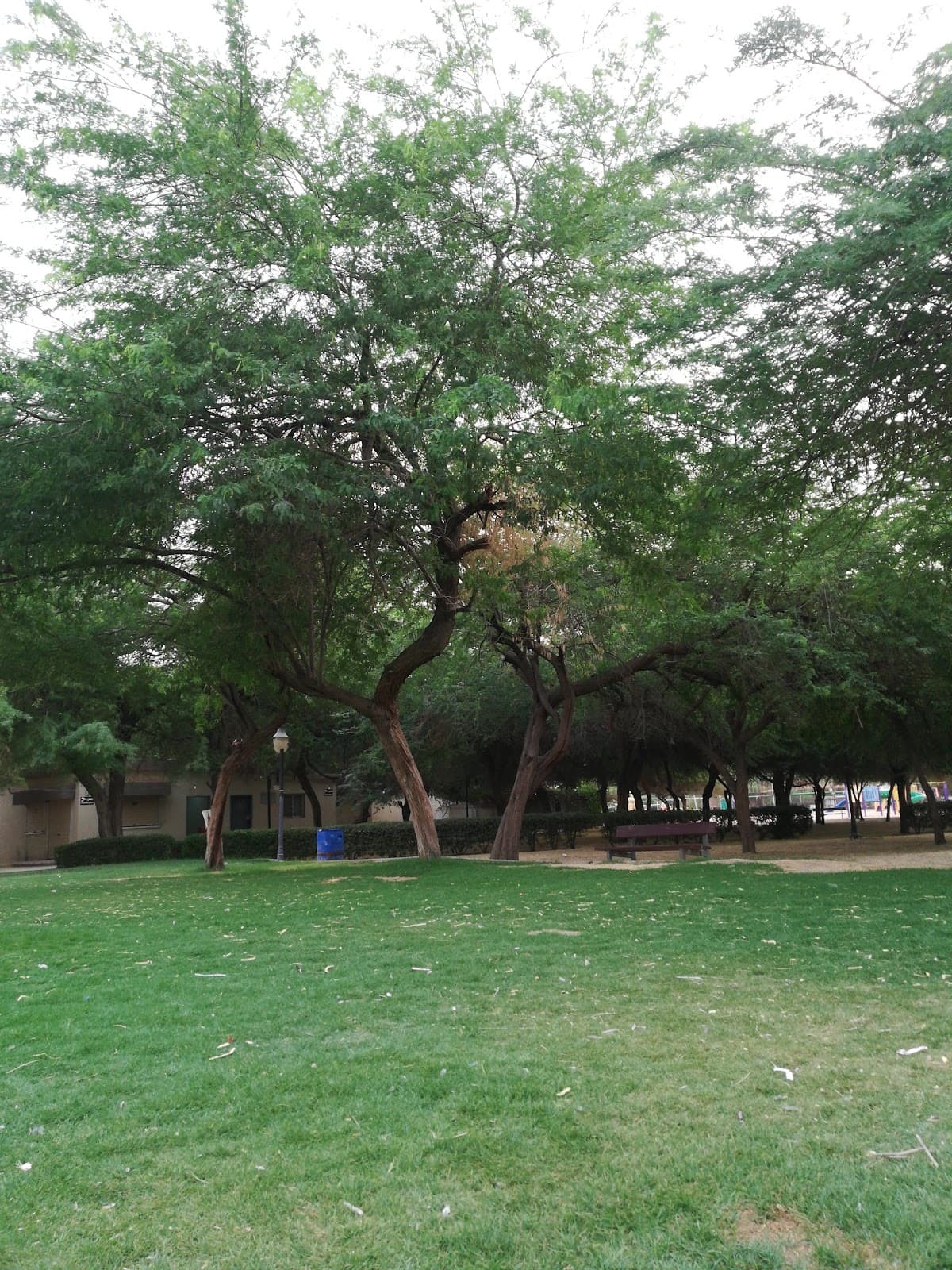 Muhammad Ibn Al Qassim Park — photo 4