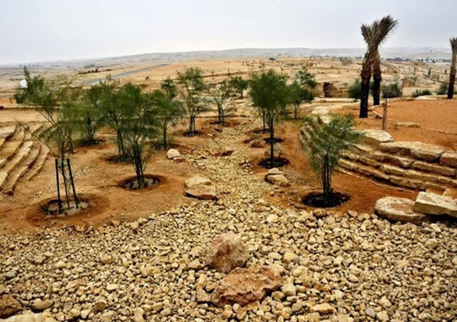 King Salman Wildlife Park — photo 4