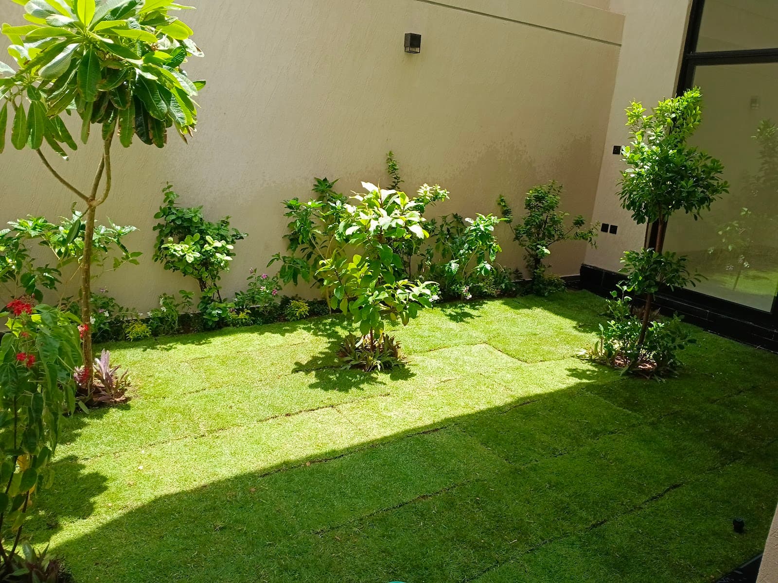 فعاليات السعودية — صورة ٣