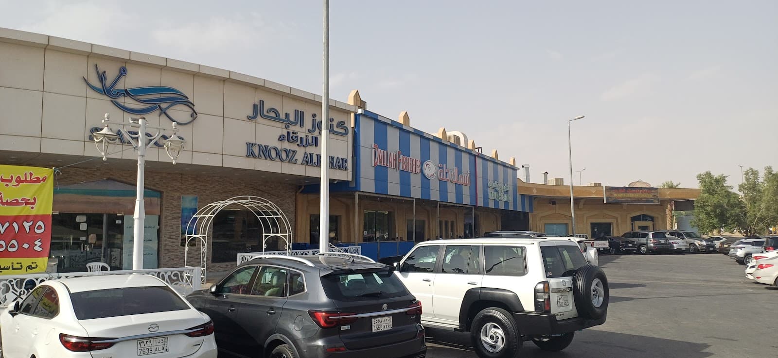 أسماك دلة — صورة ٤