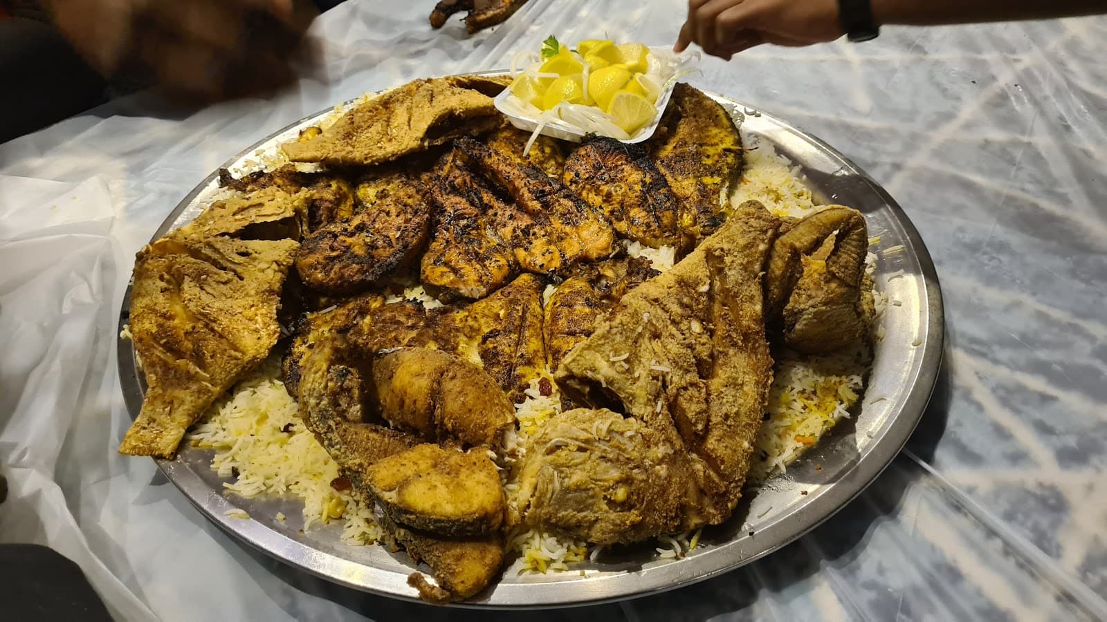 أسماك دلة — صورة ٢
