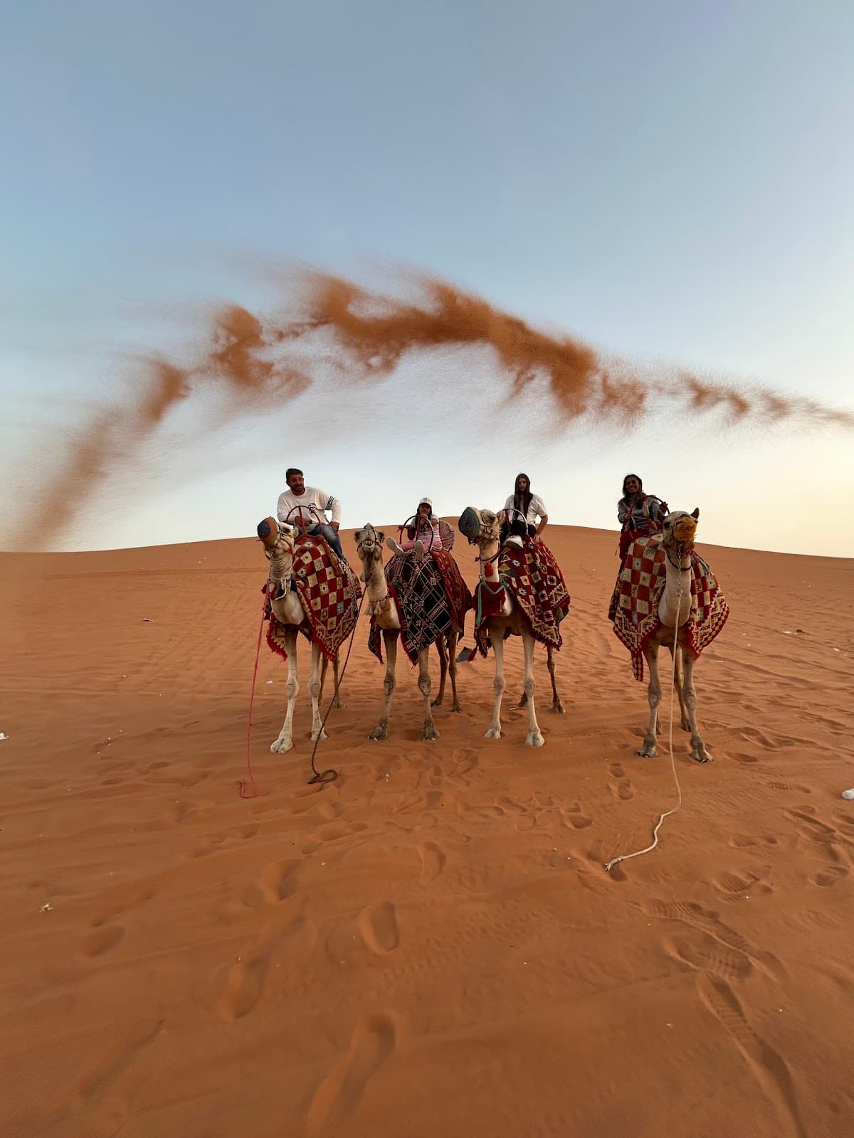 Desert Safari Riyadh Red Sand Dunes — photo 3