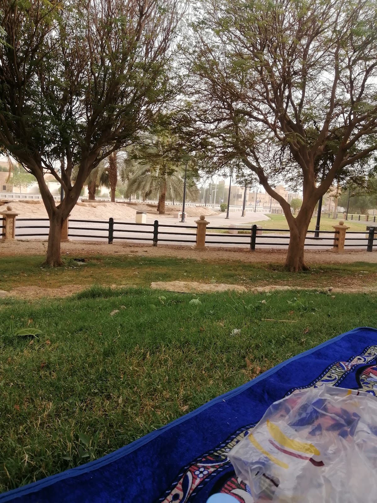 حديقة الناصرية — صورة ٤