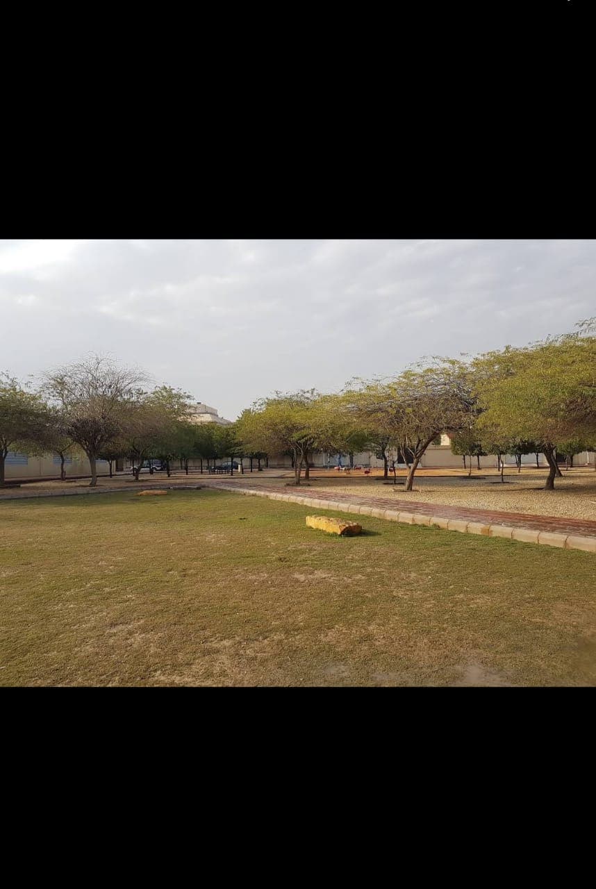 Al Shoumoukh Park — photo 2