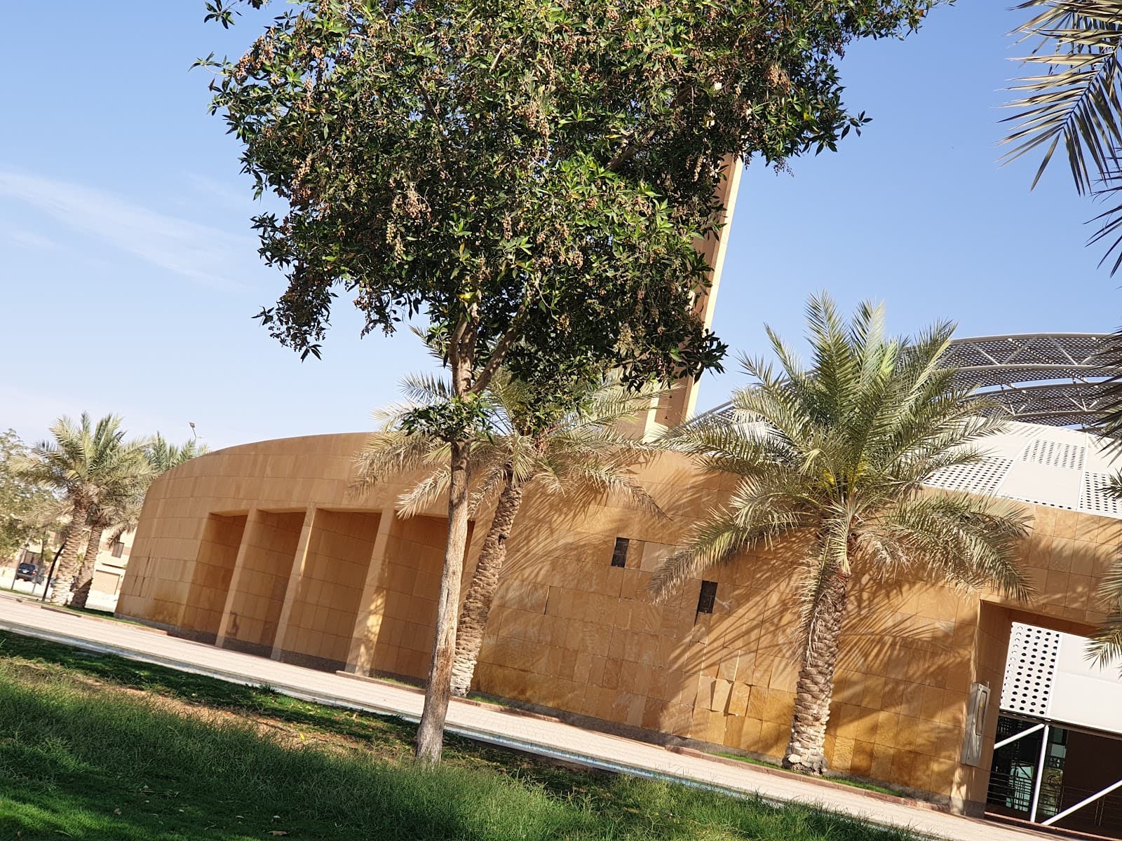 بيت الثقافة - واحة الملك سلمان | Culture House - King Salman Oasis — صورة ٣