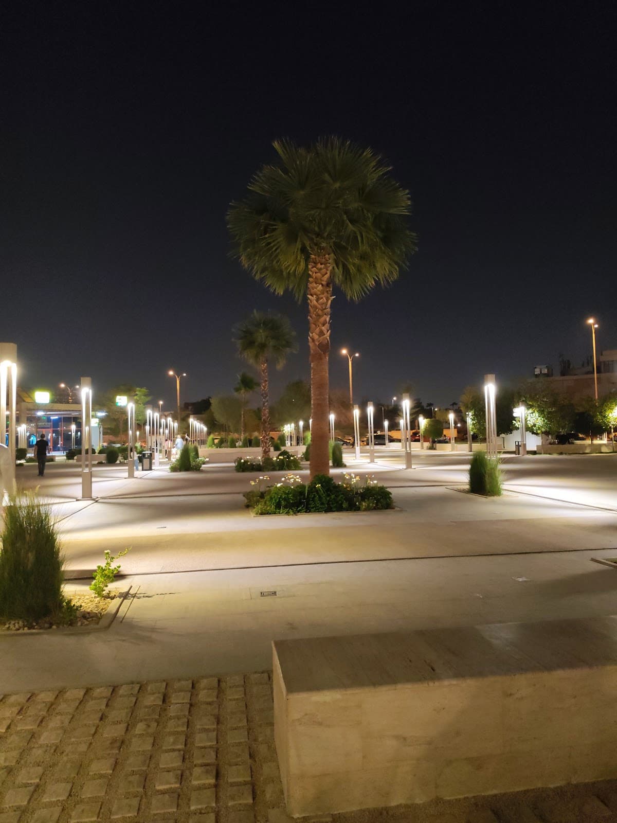 حديقة التحلية — photo 2
