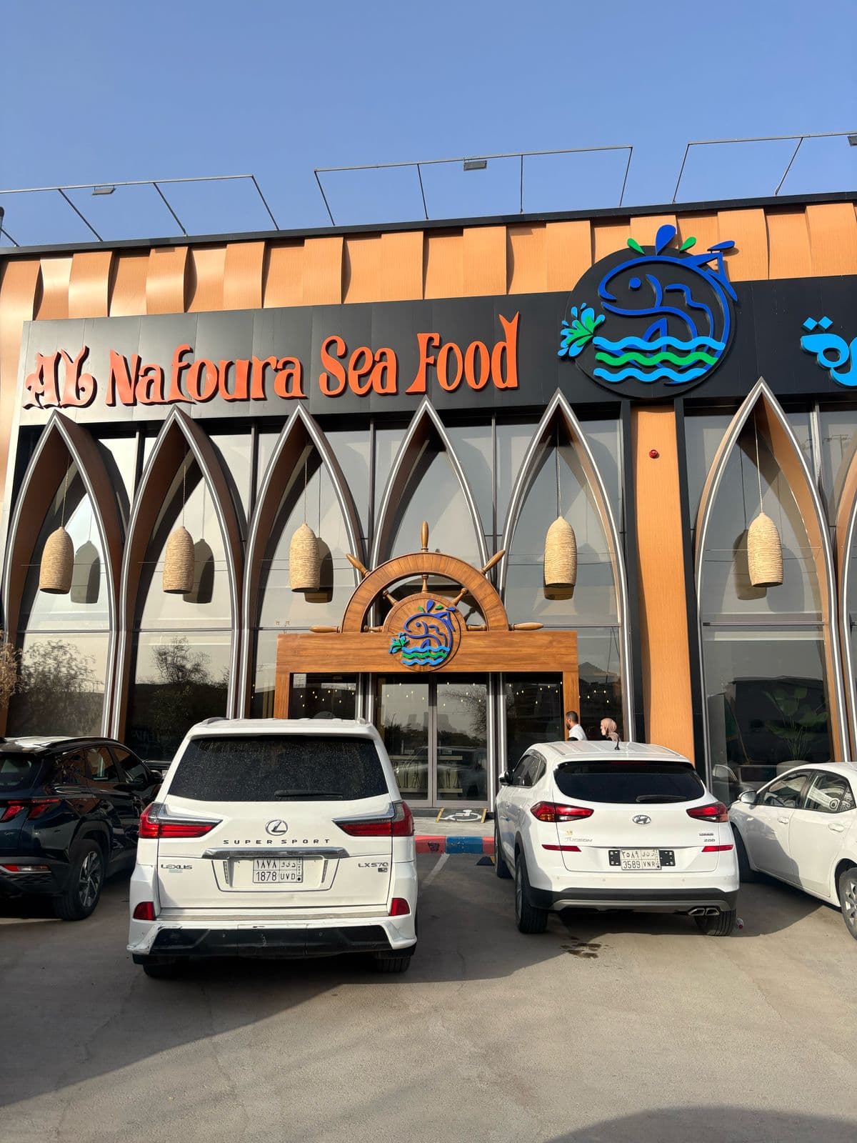 اسماك النافوره — صورة ٤
