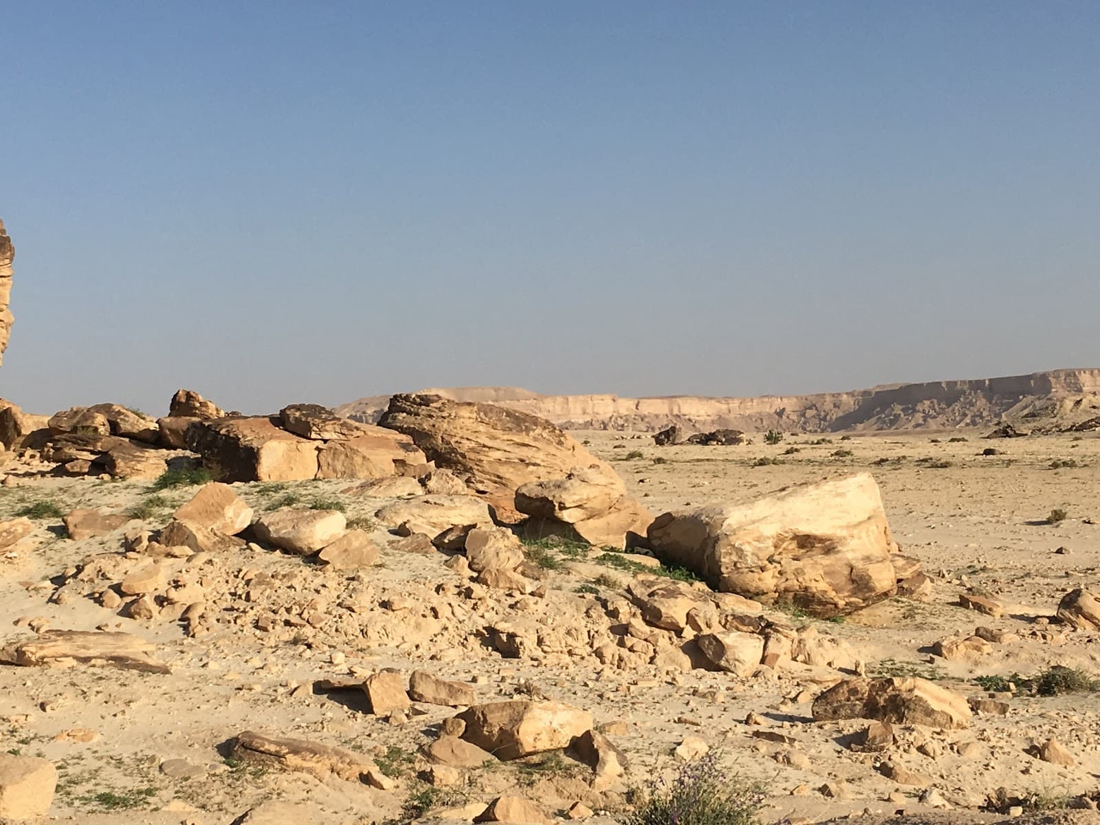 خطوات جمل — صورة ٣