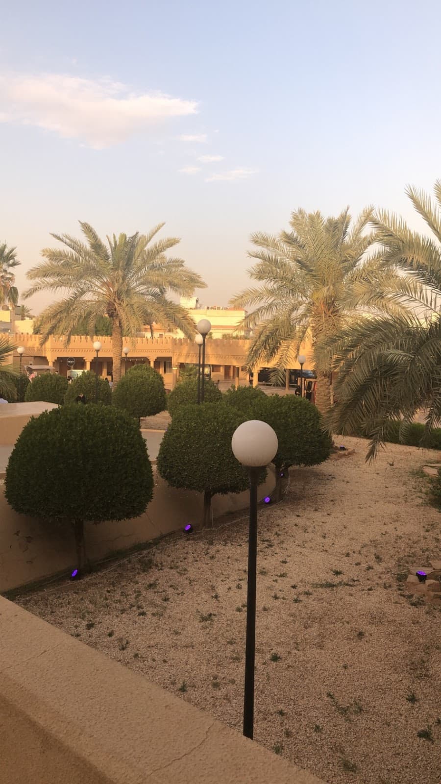 جمعية النهضة — صورة ٢