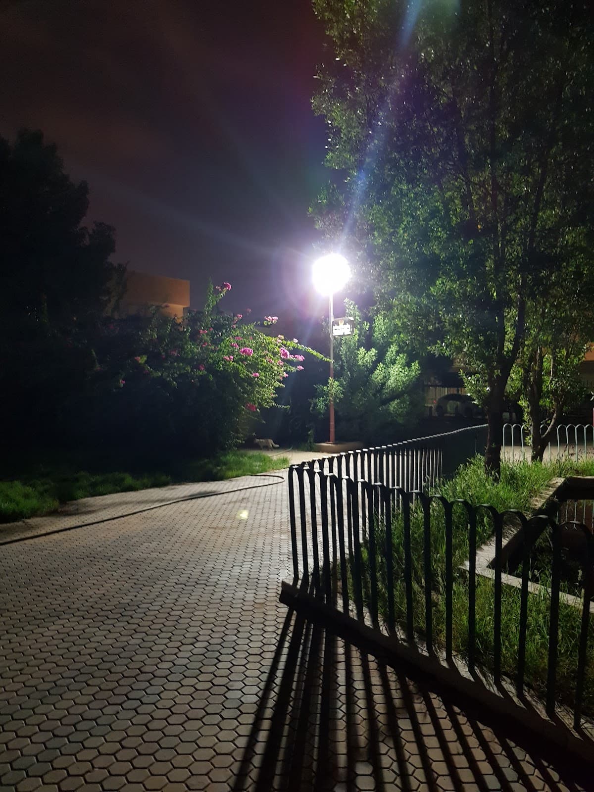 الشرفية — صورة ١