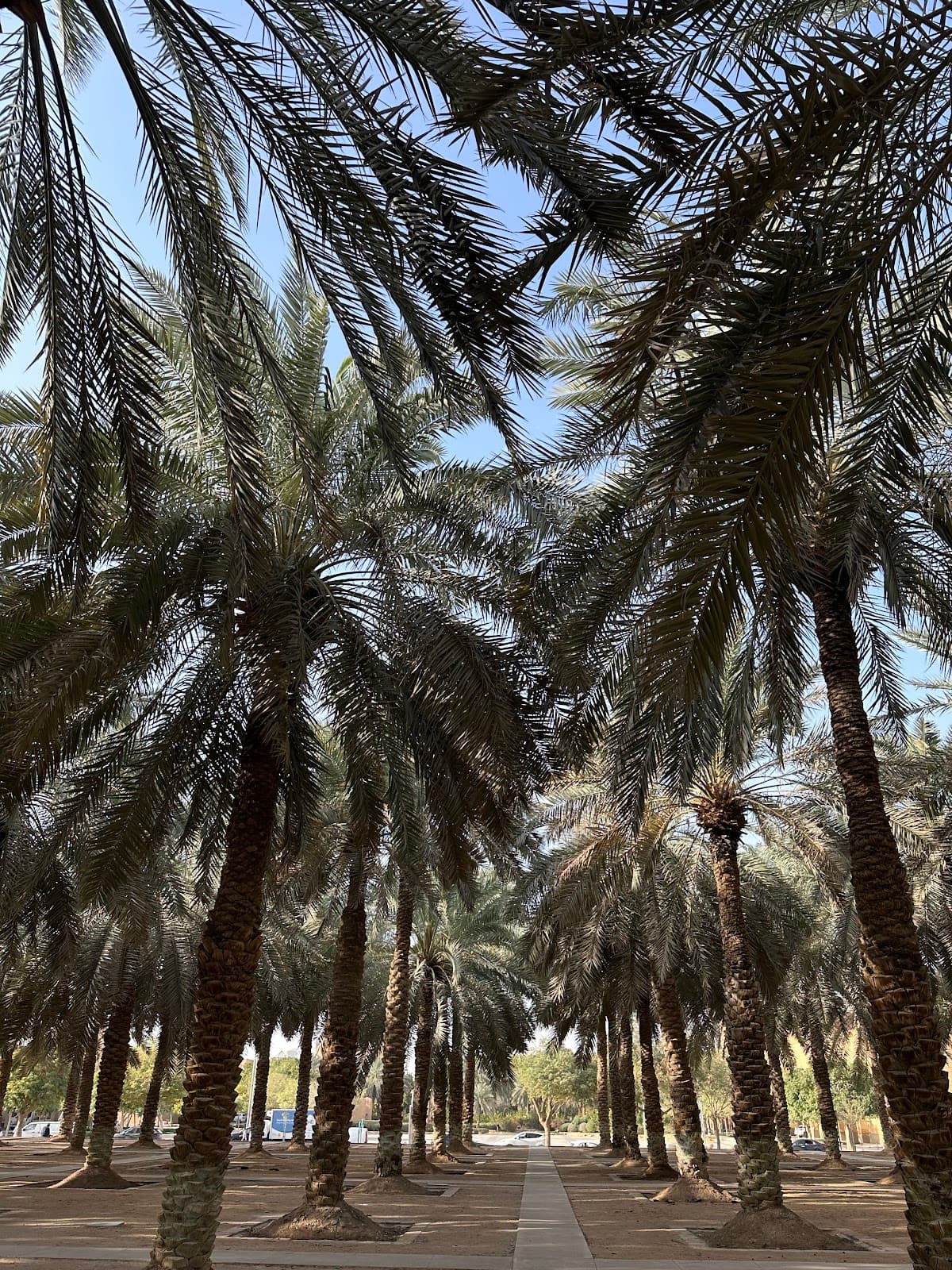 Park near Museum — صورة ١