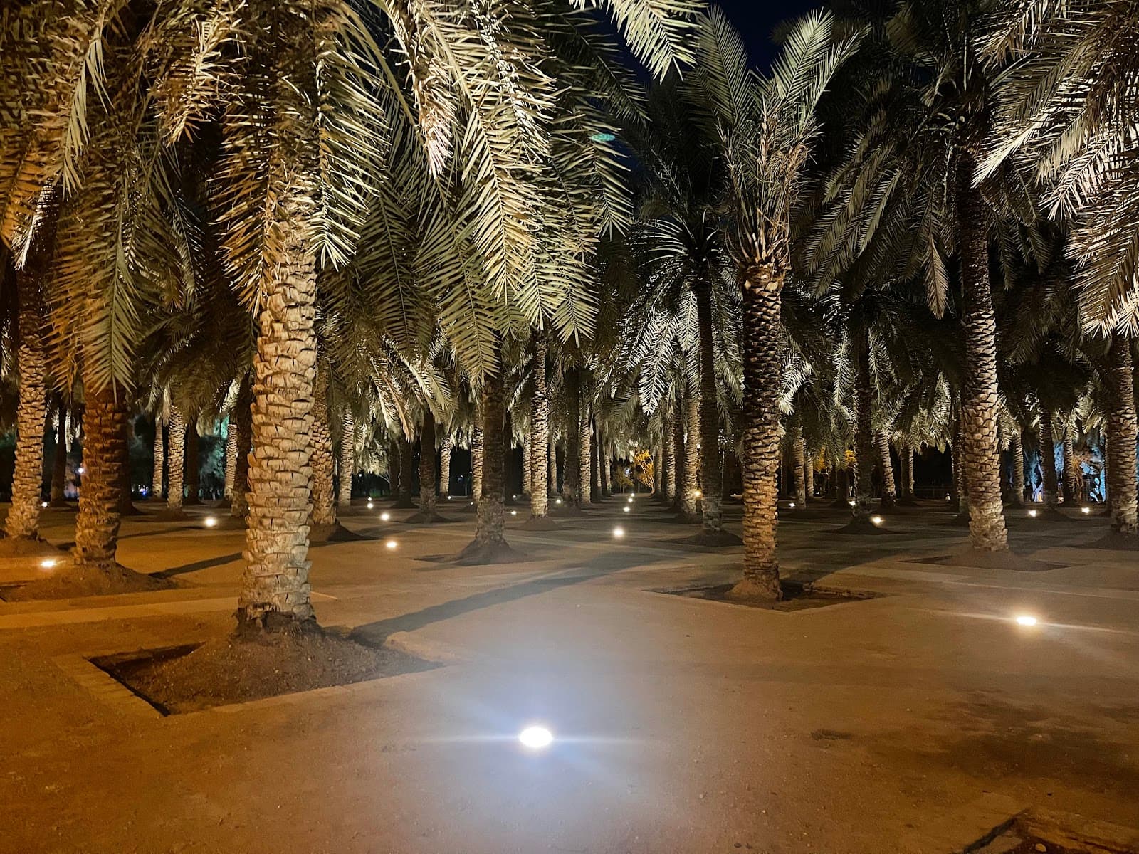 Park near Museum — صورة ٢